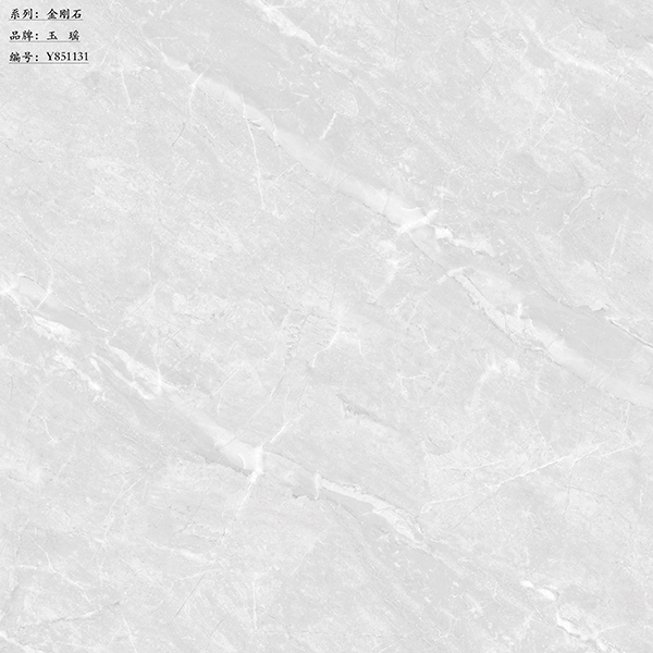 Y851131