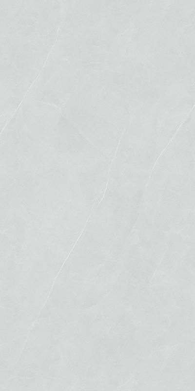 Y55113