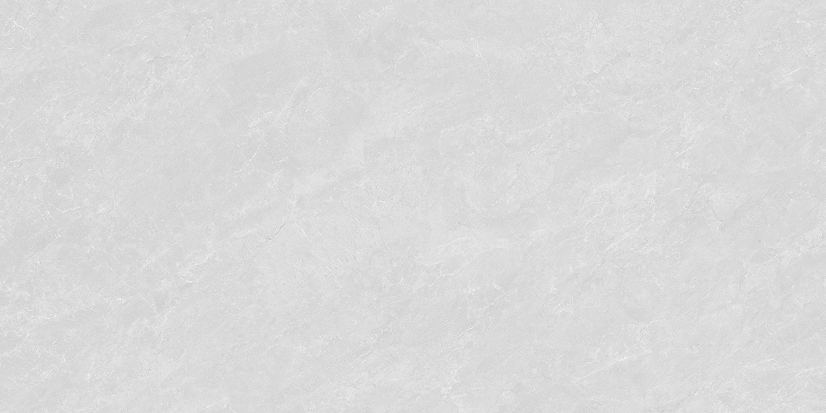 Y55123